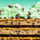 Mint Choc Chip